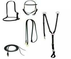 Headstalls, Cavessons & Reins