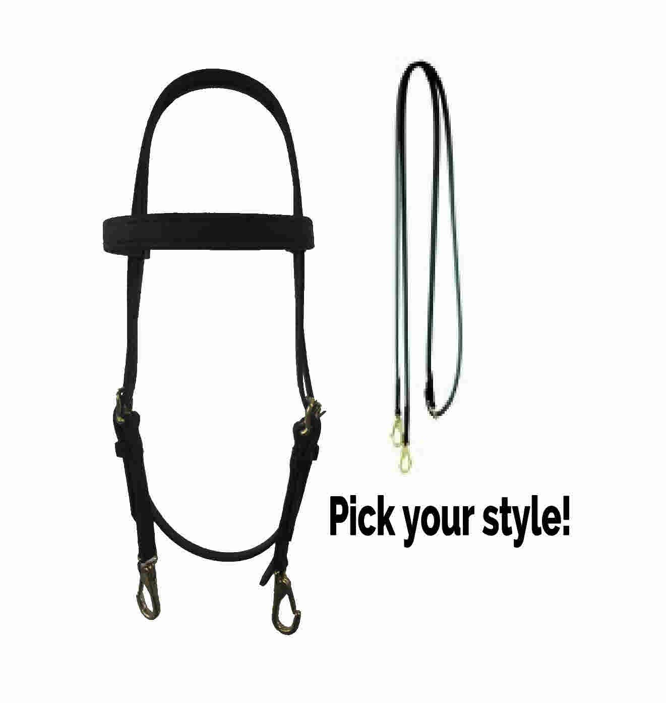 Beta Headstall and Smooth Reins  Customize your set