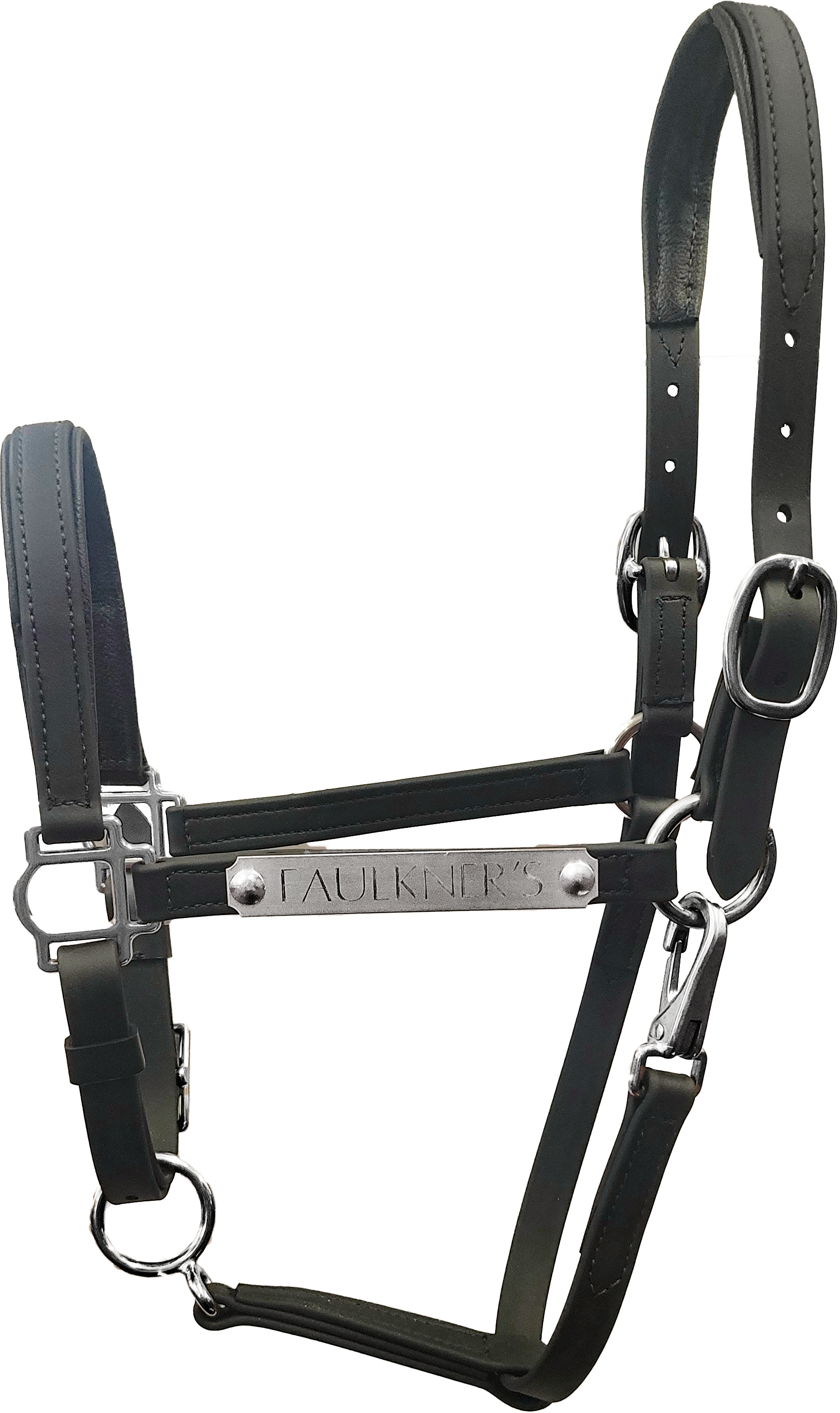 3/4" Beta Padded Nose and Crown Stable Halter with Silver Engraved Name Plate