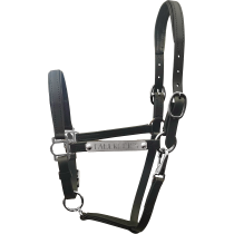 3/4" Beta Padded Nose and Crown Stable Halter with Silver Engraved Name Plate